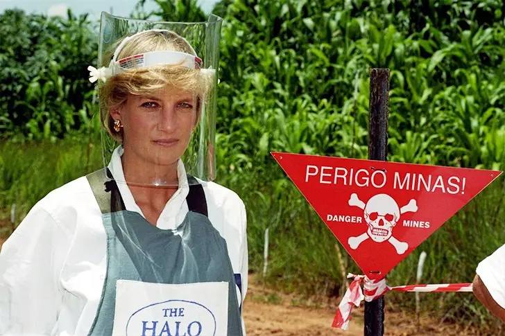Working with HALO Trust